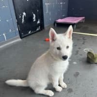Photo of Maya