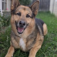 Photo of Archer