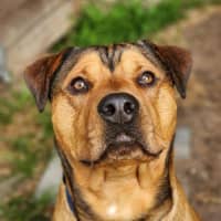 Photo of 👑 King 6259 👑