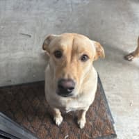 Photo of Alfie