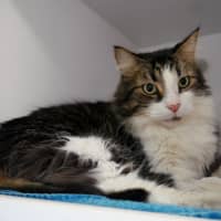 Photo of Milo Sta013928