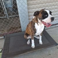 Photo of Skye