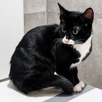 Photo of Beanie
