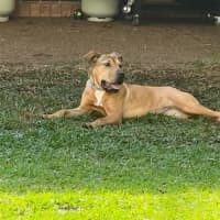 Photo of Prudence