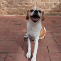 Photo of Adora