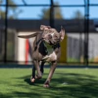 Photo of Versace Imp 1821