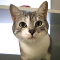 Photo of Luna