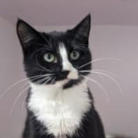 Photo of Ivy