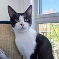 Photo of Francis 🌹🌹