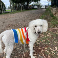 Photo of Juliette