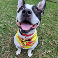 Photo of Biggie Smallz