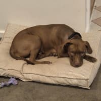Photo of Heidi