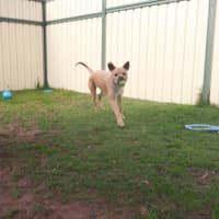 Photo of Apollo