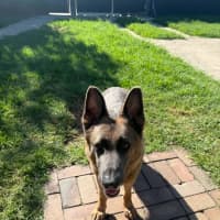 Photo of Blue