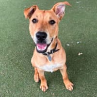 Photo of Roo