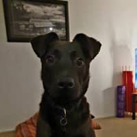 Photo of Darla