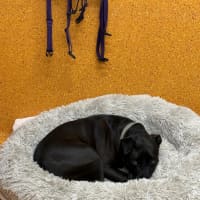 Photo of Tank