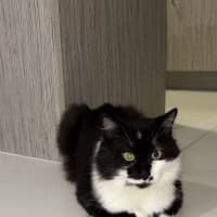 Photo of Jasper