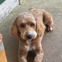 Photo of Maicie