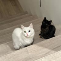 Photo of Bella & Fleur