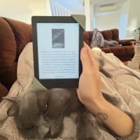 Photo of 💙 Harry 💙