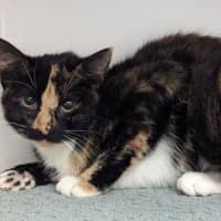 Photo of Olivia