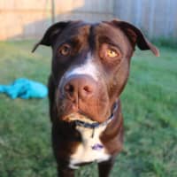 Photo of Molly