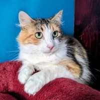 Photo of Belle