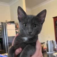 Photo of Tiny