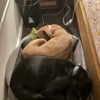 Photo of Harken