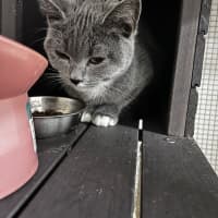 Photo of Bella