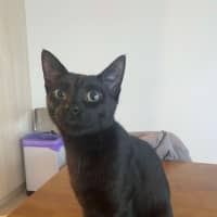 Photo of Andy