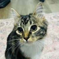 Photo of Morgan   Located In Grantville