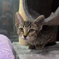 Photo of Maggie