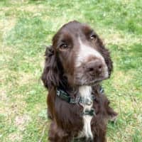 Photo of Khai Illingworth