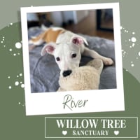 Photo of River