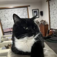 Photo of Nikita Aka Nikki