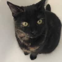 Photo of Stanley & Rosie