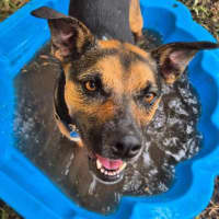 Photo of Cleo