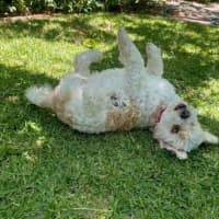 Photo of Bella Wensleydale