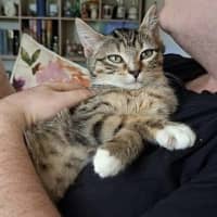 Photo of Helia