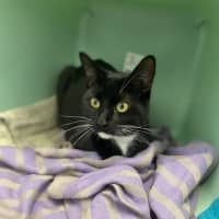 Photo of Cinnamon & Benny