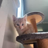 Photo of Dj Happy Paws