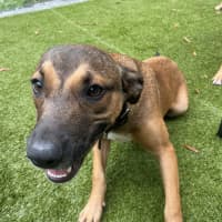 Photo of D1117 Katia