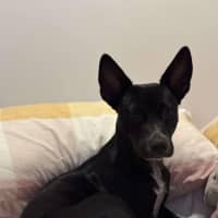 Photo of Blackie Chan