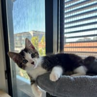 Photo of Bosco