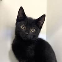 Photo of Barnaby
