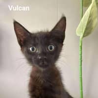 Photo of Vulcan