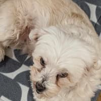 Photo of Bianca / Stella