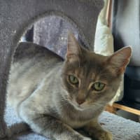Photo of Luna